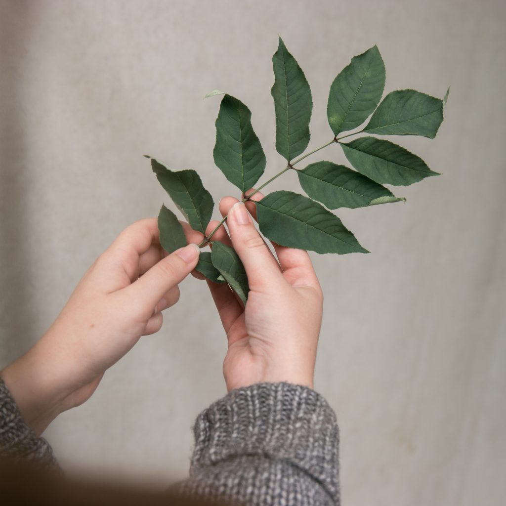 Lätt att leva hållbart i en lägenhet från Tosito