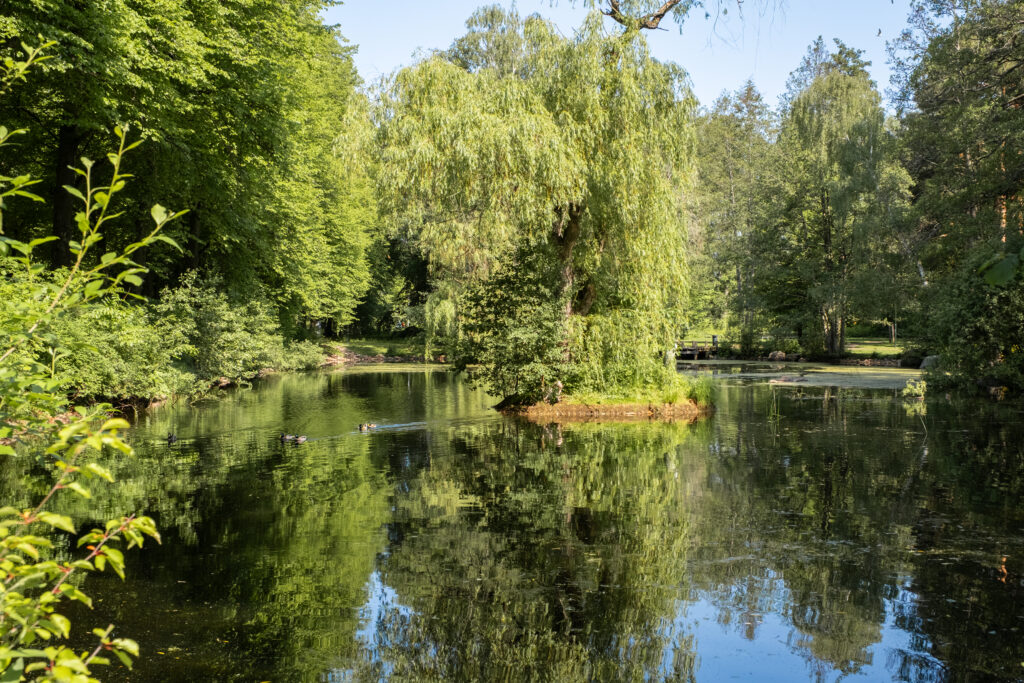 Välkommen till Ryttargården i Linköping – nytt bostadsprojekt omgivet av grönska