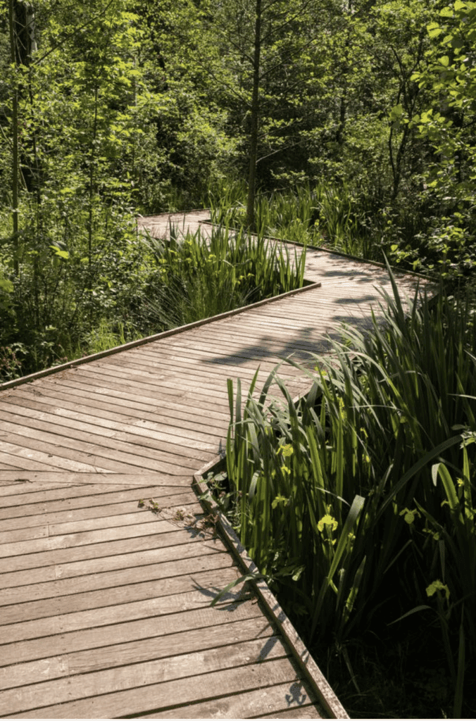 Bostäder Brf Ryttargården i Linköping
